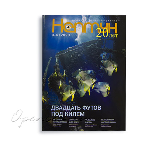 Журнал Нептун 2020/3-4